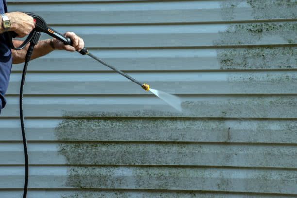 Professional Pressure Washing Services in Kahaluu, HI